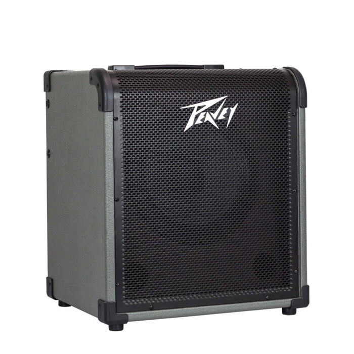 Peavey MAX 100 Bass Combo Amp - Image 5
