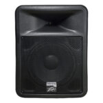 Peavey PR 12D 2-Way Powered PA Speaker