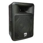 Peavey PR 12D 2-Way Powered PA Speaker - Image 3