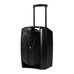 Proel V12FREE All-in-one Battery-Powered 12" Portable Speaker - Image 5