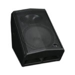 Wharfedale Pro DVP-X15M Passive Floor Monitor - Image 6