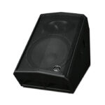 Wharfedale Pro DVP-X15M Passive Floor Monitor